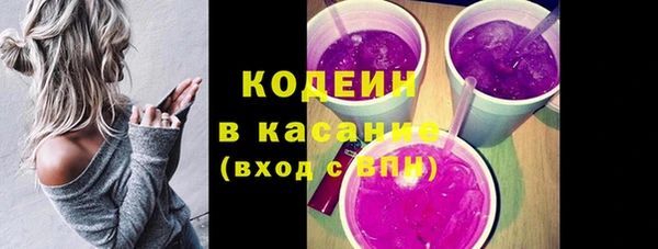 прущие грибы Алзамай