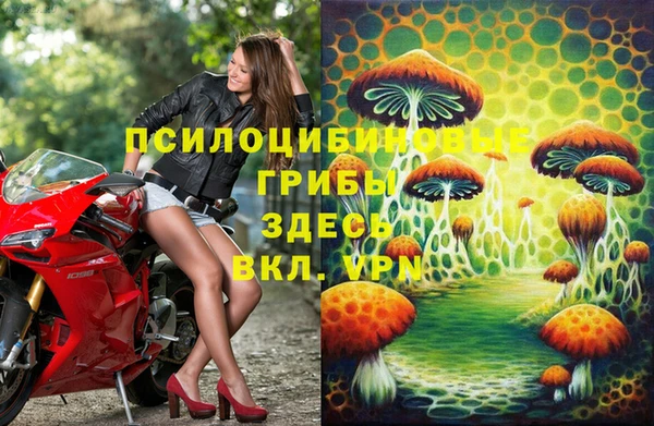 прущие грибы Алзамай