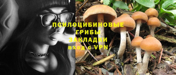 прущие грибы Алзамай