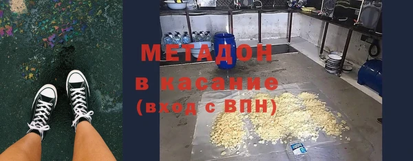 прущие грибы Алзамай