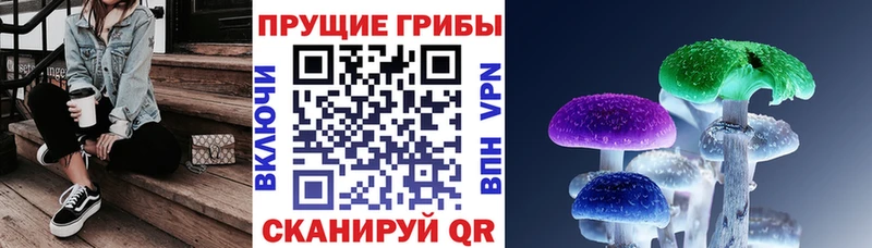 Псилоцибиновые грибы GOLDEN TEACHER  hydra ССЫЛКА  Вологда 
