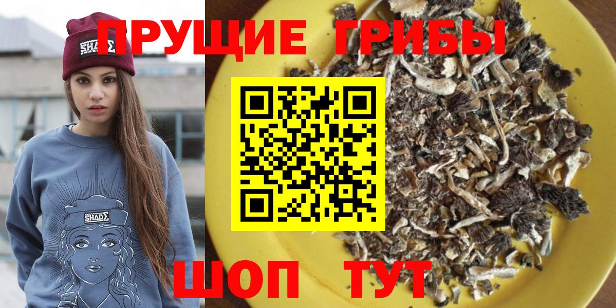 Вологда  Галлюциногенные грибы Magic Shrooms  Вход с VPN 