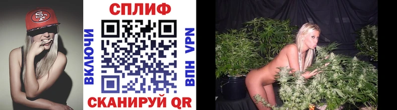 наркота  Вологда  Марихуана MAZAR 